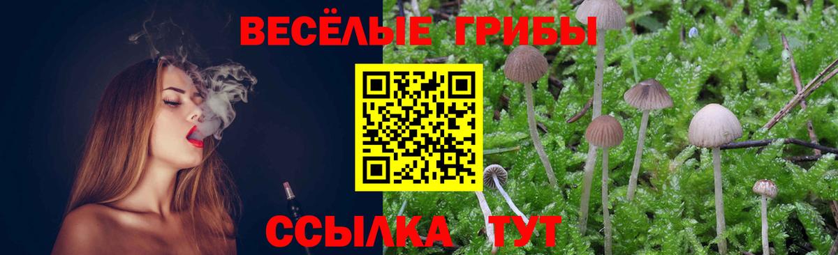 Галлюциногенные грибы прущие грибы  Псилоцибиновые грибы прущие грибы  Нурлат  Вход с VPN 